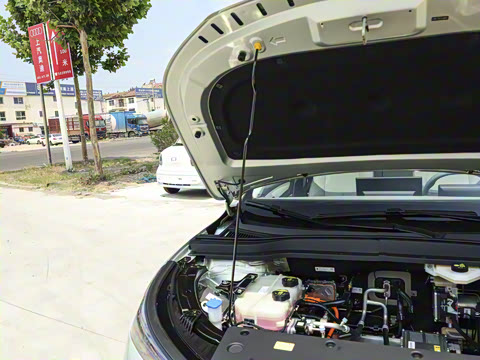 2025�� 565km ������