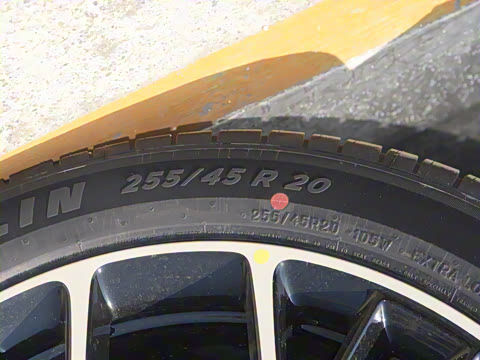 2025�� �������� Max �콢��