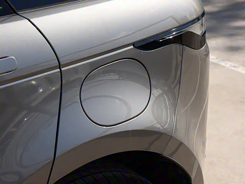 2021�� ����L P300e ������