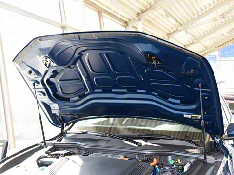 2019�� 55 quattro ������