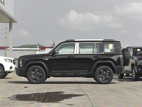 2025�� 2.0T 4WD Pro