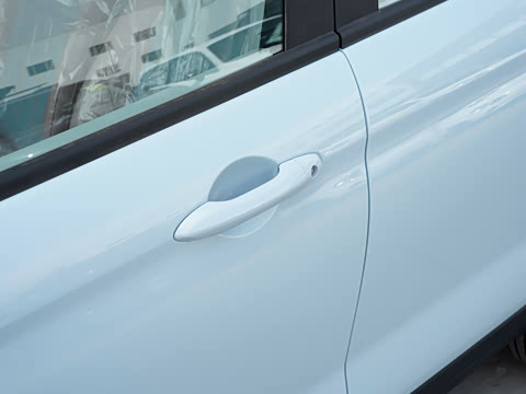 2025�� 310������