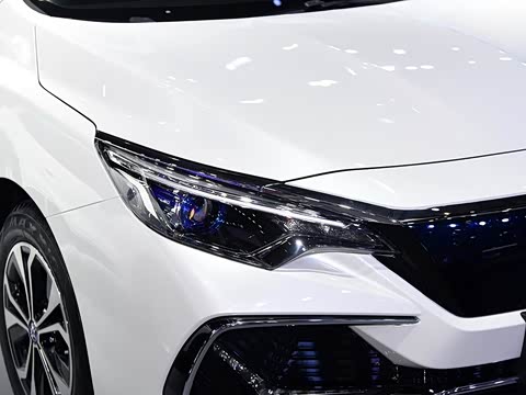 2019�� ������������