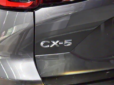 2025�� 2.0L �Զ�����������