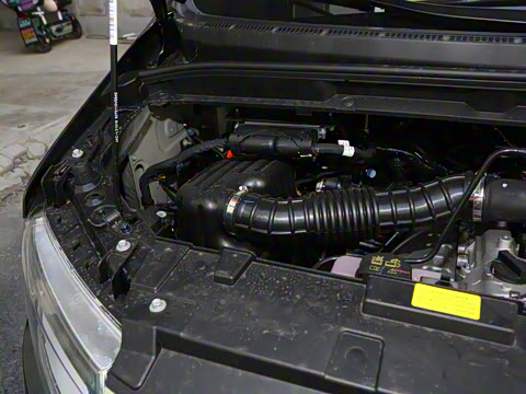 2025�� PLUS 2.0L ��Ӣ��