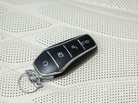 2025�� �Ǽݰ� DM-i 1.5T 125km �콢��