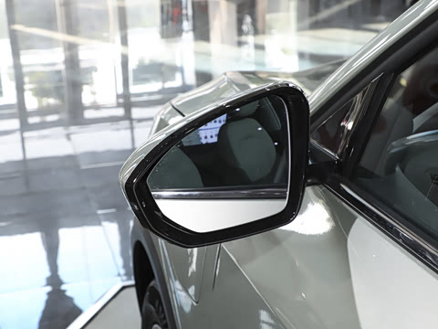 2025�� 565km ������