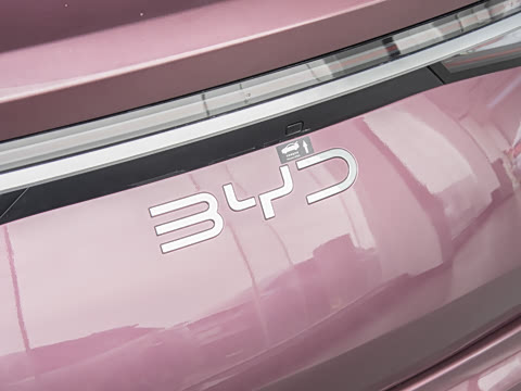 2025�� �Ǽݰ� DM-i 1.5L 125km ������