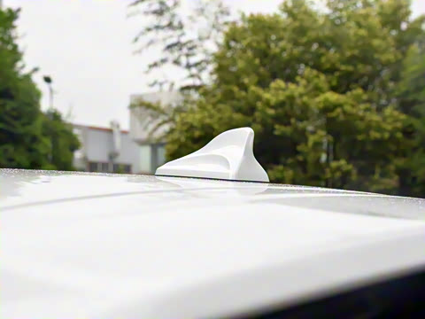 2025�� 1.5T �������а�