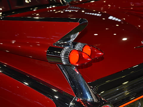 2025�� ������