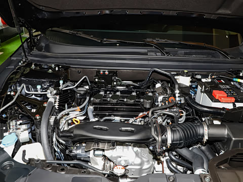 2025�� �˶�ϵ�� 260TURBO ���ʰ�