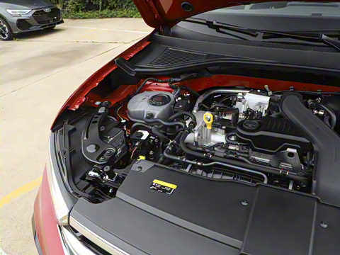 2025�� �Ŀ�� 300TSI DSG���������