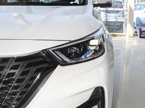 2021�� GT 2.0T �Զ��콢�� 7��