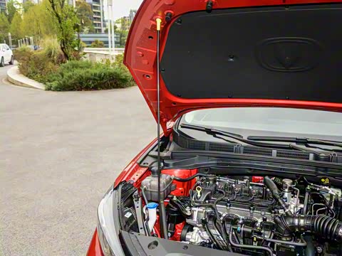 2025�� PLUS 1.5L �ֶ�������