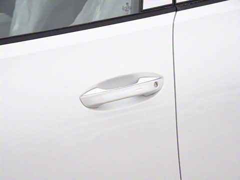 2024�� 530TSI �����콢ʤ����Pro 6��