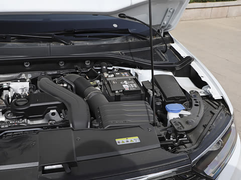 2025�� �Ŀ� 300TSI DSG���������