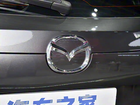 2025�� 2.0L �Զ�����������