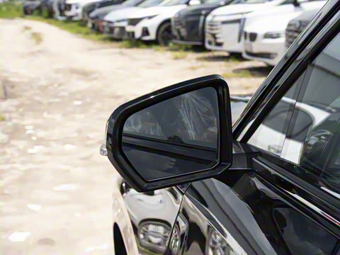 2025�� 115km Pro��