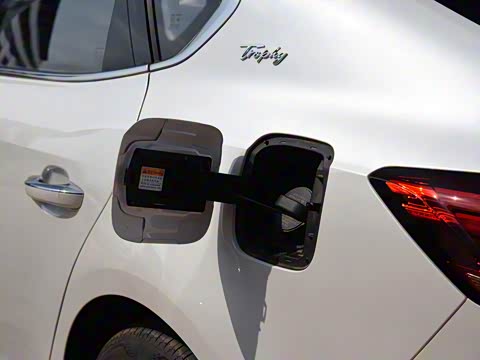 2018�� 20T �Զ�Trophy������������ ��VI