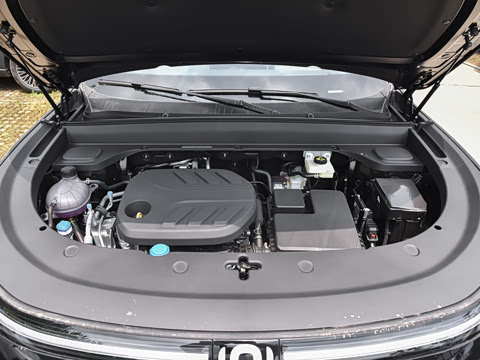 2025�� 215�����