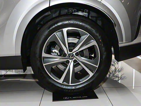 2025�� 300 ����������