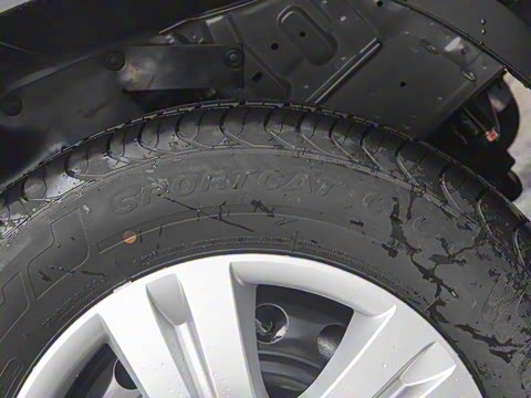 2025�� 110km���� ������5��