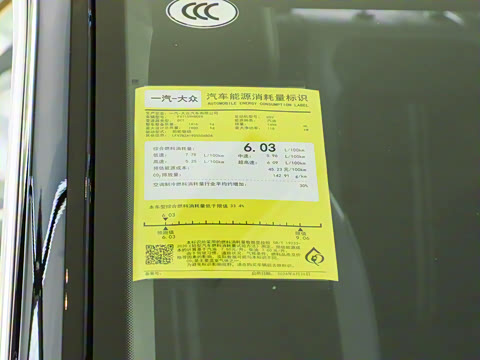 2025�� �Ŀ� 300TSI DSG���������