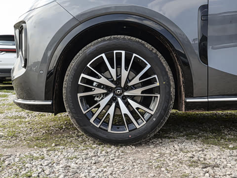 2025�� 215������