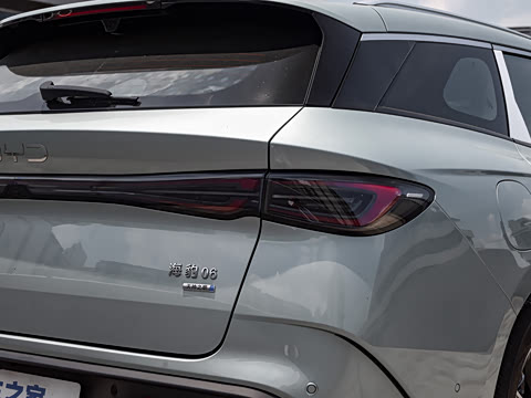 2025�� DM-i 80KM�����