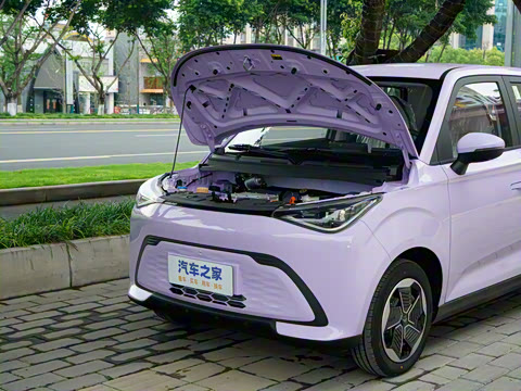 2026�� Mate 305km ����̤�˰�