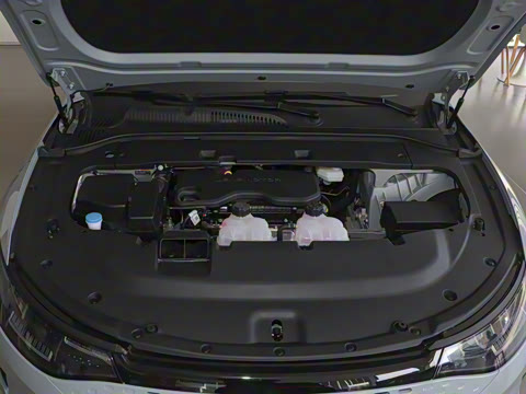 2024�� ���� 216������