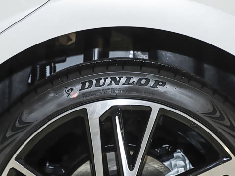 2024�� ˫�� 2.0HS �˶���