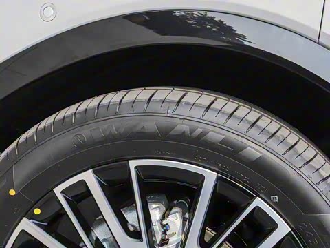 2025�� 215�콢PLUS