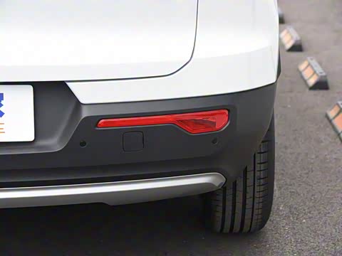 2019�� T4 ����������ѩ��