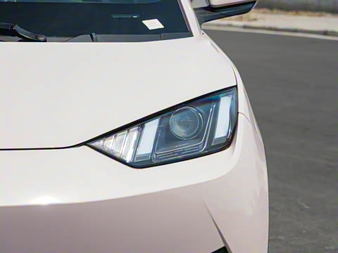 2025�� �Ǽݰ� 305km ������