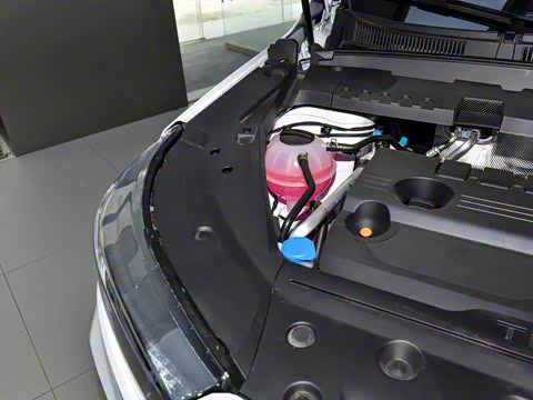 2023�� 290TGDI DCT������