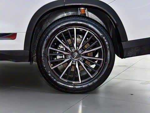 2023�� 290TGDI DCT������