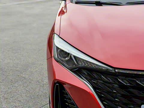 2025�� PLUS 1.5L �ֶ�������