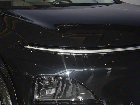 2025�� 725 �������� Max �콢��