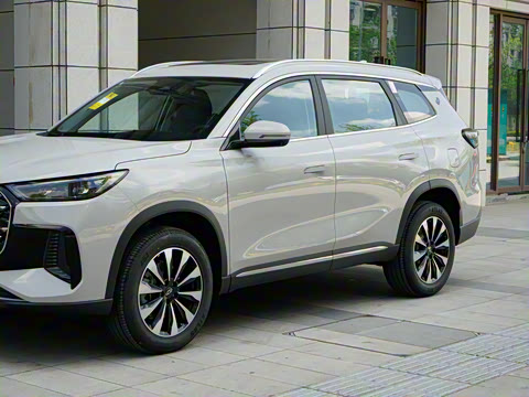 2025�� 290TGDI DCT�˷�� 7��