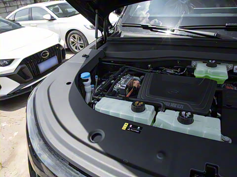 2025�� 115km Pro��