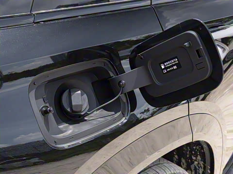 2025�� 115km Pro��