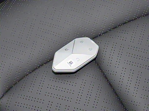 2025�� 501KM ����Max��