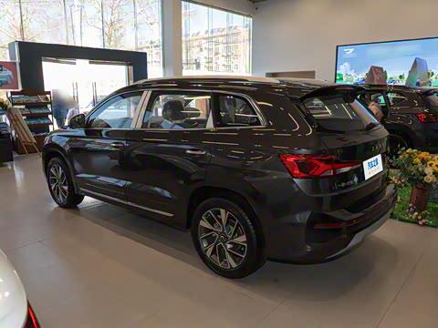 2024�� 280TSI �Զ��콢��