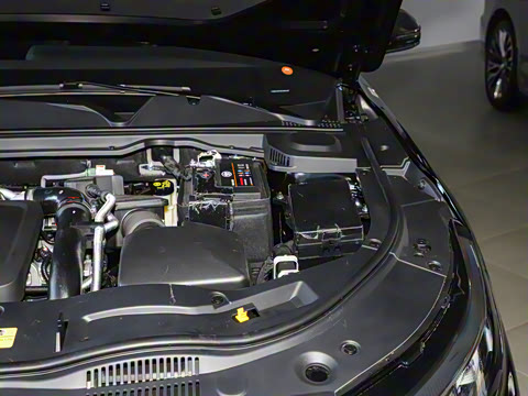 2025�� ���ڰ� 1.5T ����ʿ