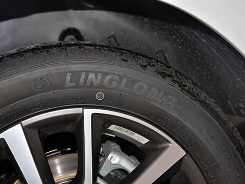 2019�� ����� 1.5L �ֶ��������˰� ��V