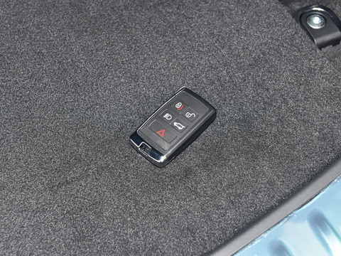 2022�� ����L P300e ���ʽ�綯��ϰ�