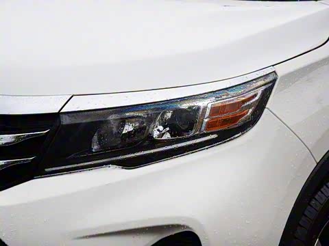 2019�� 150N �Զ���Ӣ��