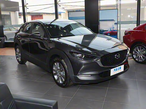 2024�� 2.0L �Զ�������