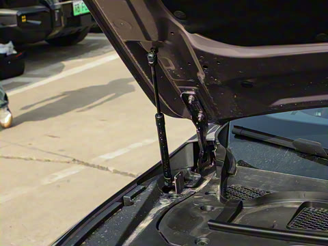 2025�� ���� Plus ��������